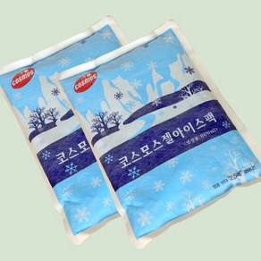[라이펀]코스모스 부직포 아이스팩[800ML]2개, 단품, 2개