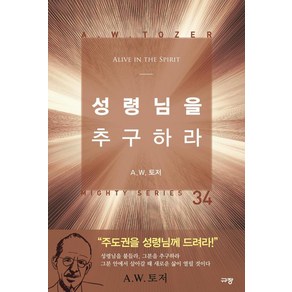 성령님을 추구하라