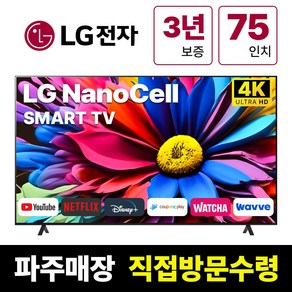 LG전자 75인치(190Cm) 4K UHD 스마트 TV 75NANO91, 고객직접설치, 스탠드형, NANO91, 75인치