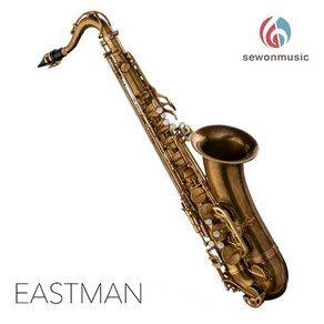 이스트만색소폰 테너 Bb TENOR SAXOPHONE ETS-652, 1개