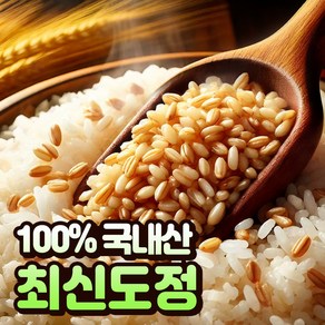 [100%국산] 호라산밀 카뮤트 효능 당뇨에좋은 쌀, 3개, 1kg