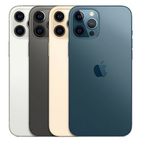 아이폰12 프로맥스 iPhone12 pomax 128GB 256GB 512GB 기가 정품, 실버