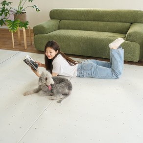 비엔메이드 무드 롤 시공 강아지매트 애견 방수 미끄럼방지 고양이 매트, 쿨그레이, 140cm, 2.5M, 1개