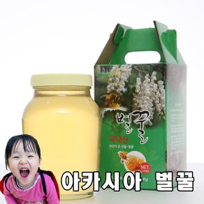 지리산 산청 아카시아 자연 벌꿀 2.4kg, 1개