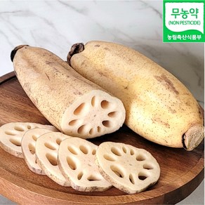 친환경 세척통연근 / 연근채 1kg / 400g 국산 무농약 슬라이스 연근