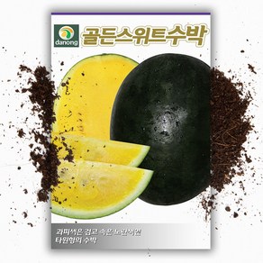 다농 골든스위트수박 씨앗 5립, 1개