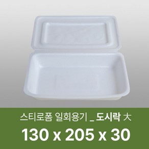 태양산업사 일회용 포장용기 도시락용기 일회용도시락 도시락(대), 1개, 100개