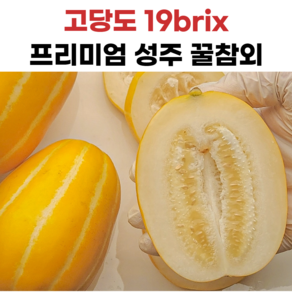 성주참외 당도보장, 1개, 2kg, 가정용꿀참외