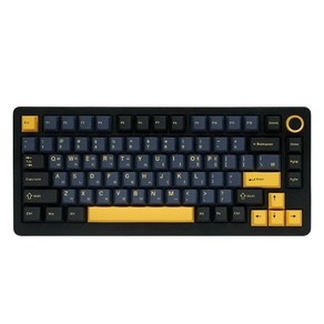 QSENN(큐센) [QSENN] Q75 PBT 풀윤활 가스켓 유무선 기계식 키보드 블랙 하이무 저소음 바다소금, 저소음 라임축, 오테뮤저소음라임축V3