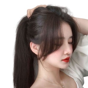 여성 옆머리 가발 인모 앞머리 똑딱이 붙임머리 부분가발 1세트25cm 슬림소녀 Women's wigs, 다크 브라운(왼쪽+오른쪽), 1세트