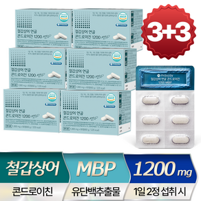 철갑상어 연골 콘드로이친 1200 MBP 저분자 식약청 인증 HACCP, 60g, 6개