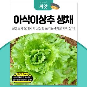 세경팜 고소하고 4계절 싱싱한 아삭이상추 생채 씨앗 1500립 LMV품질종자, 2개