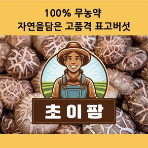 자연을 담은 초이팜 건조 표고버섯 슬라이스, 1개, 100g