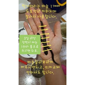 낚시용 땅거머리