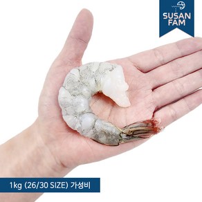 칵테일새우 특품 (생 새우살 냉동 대용량 깐새우 감바스용) 900g~1000g 칵테일새우 대 50-60미