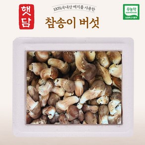 [3+1]햇담 참송이버섯 B급이하 가정형 농협에 납품하는 무농약 이천 참송이버섯, 1박스, 500g