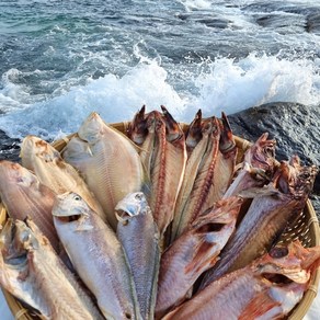 속초 (산지직송) 반건조생선 골라담기 임연수 볼락 참돔 민어 열기 가자미 우럭 고등어 양미리 박대 서대 구이 말린, 옵션01. 반건조 참가자미, 1개