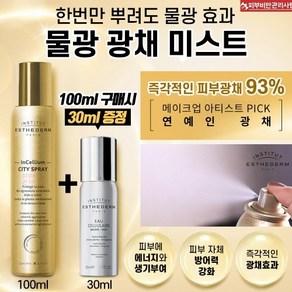 [사은품 추가증정] 에스테덤 시티프로텍트 골드미스트 / 물광미스트100ml, 10000개, 100ml