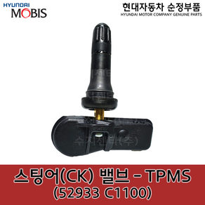 스팅어(CK) 밸브 - TPMS / 52933C1100 / 52933 C1100 / 스팅어17(2017/05/02~2017/06/15 생산차량), 1개