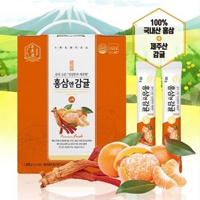 대동고려삼 홍삼앤감귤 10g x 100포, 1개