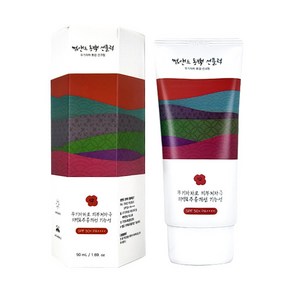 썸앤드 제주 동백 선크림 선블럭, 50ml, 1개