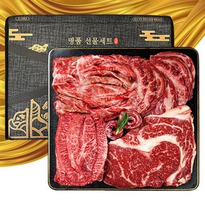 마장동직송 최고급 한우 1++ 투뿔 선물세트 3호, 1세트