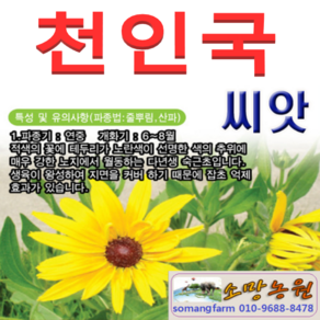 (LT소망)댑싸리씨앗 1kg, 1개