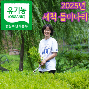 [품질보장] 유기농 국내산 순천 돌미나리 밭미나리 세척 손질 미나리, 1kg, 1개