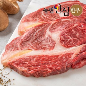 남도청년 농협안심한우 등심 1등급 구이용 냉장, 3개, 500g