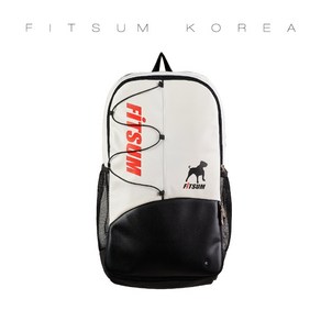 FITSUM 핏섬 백팩 배드민턴 BAG-A2302 미니가방 테니스 탁구 스포츠가방, F, 1개