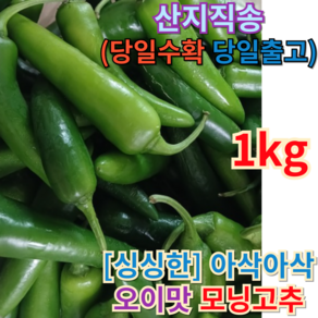 [[산지직송 / 당일발송 Fist place]] 국산 아삭아삭 <<오이맛 chili 모닝고추>> 모닝고추1키로 모닝고추2키로 풋고추 고추 아삭이고추 자연 찐 신선한고추, 2개, 500g