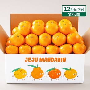 프루미츠 중문농협 엄선한 고당도 타이벡 감귤 2.5kg (12bix), 1개