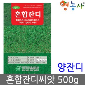 혼합 잔디씨앗 500g 영농사, 1개