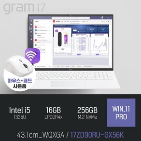 LG 그램17 17ZD90RU-GX56K [사은품 증정], WIN11 Po, 16GB, 256GB, 스노우 화이트