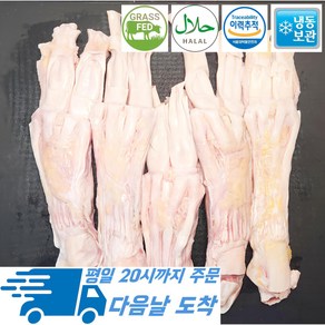 [행복미트] 목초육 스지 할랄인증 알스지 곰탕용 도가니탕용 앞스지 1kg [당일발송], 1개