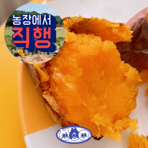 [농부직판] 강화도 속노랑 호박 고구마 5KG, 5KG(중간), 1박스