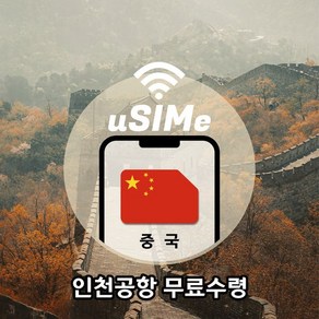 중국유심 3일 4일 5일 6일 매일고속 1GB 2GB 사용 후 저속 무제한 LTE데이터(택배), 조이텔 매일1GB 후 저속