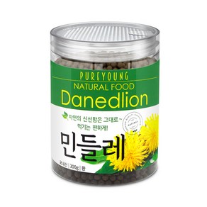 퓨어영 국산 포공영 민들레환 300g, 1개