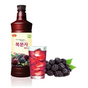 광야식품 복분자 베이스 970ml, 6개