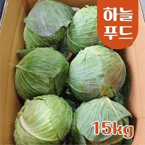 하늘푸드 (15kg) 국내산 양배추 식자재, 1개, 국내산 양배추 15kg, 15kg