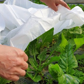 서리방지용부직포 비닐하우스 보온덮개 텃밭 농업용 농사용 양파 배추 막덮기 냉해방지 부직포