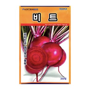 오스템 비트씨앗 비트 300립, 1개