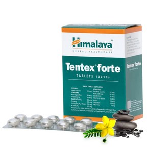 히말라야 Tentex Fote, 1개, 100정