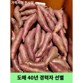 가락시장 한사장 못난이 고구마 밤고구마 (도매 40년 경력자가 선별), 10kg내외, 1박스