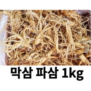 금산 인삼 파삼 5년근 수삼 국내산 1kg 파삼 막삼 대용량, 1개