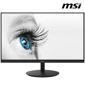 MSI 프로 MP242 IPS 아이세이버 24인치 모니터 (100Hz 업그레이드 발송) / sy, 결점