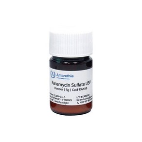 별사탕마켓★바이오피스 암브로티아 KAN5B 카나마이신 Kanamycin Sulfate usp grade 항생제 시약 antibiotics Powder