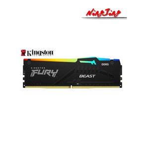 Kingston FURY Beast 데스크탑 AMD CPU 마더보드 메모리 RAM DDR5 RGB EXPO 16GB 32GB 5200 5600 6000 MHz, [01] 16G 5200MHz, 01 16G 5200MHz