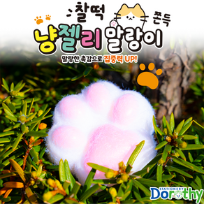 도로시 찰떡 냥 젤리 말랑이 / 고양이 발바닥말랑이 / 피젯토이장난감 / 쫀득쫀득 말랑이 / 촉감놀이, 1개