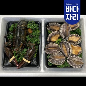 전복 랍스타 선물세트 프리미엄 전복+랍스터(전복 9미+랍스터 700g)